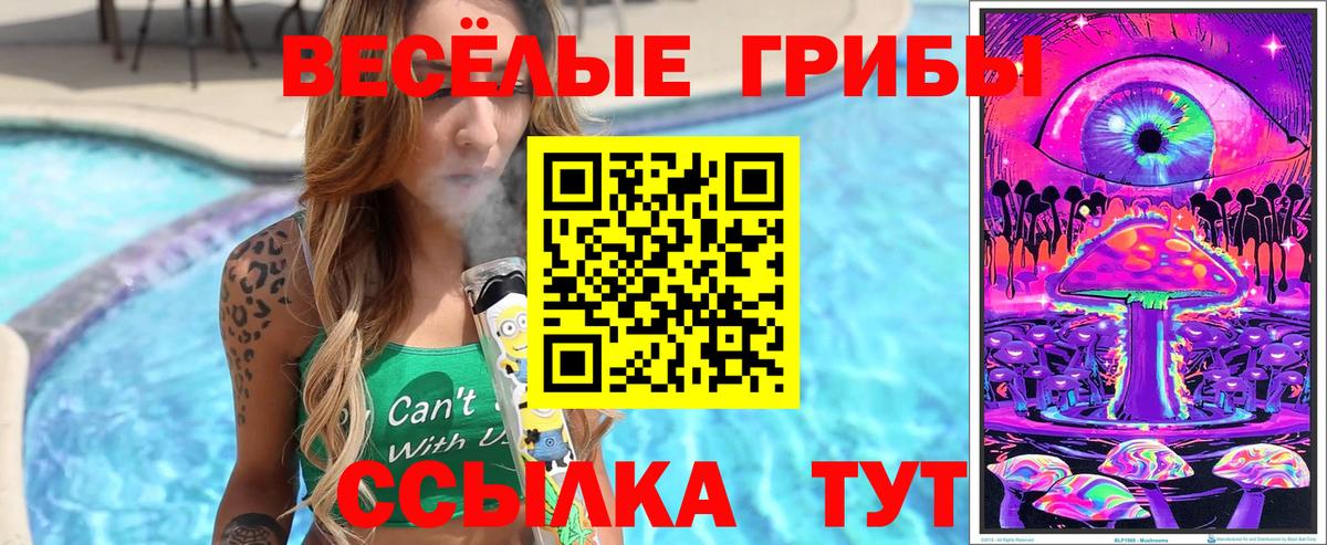 Псилоцибиновые грибы мицелий Дмитров