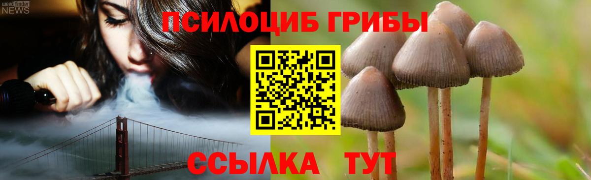 Псилоцибиновые грибы ЛСД  Галлюциногенные грибы Psilocybine cubensis  Дмитров  Вход с VPN 